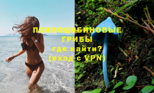 крисы Алексин